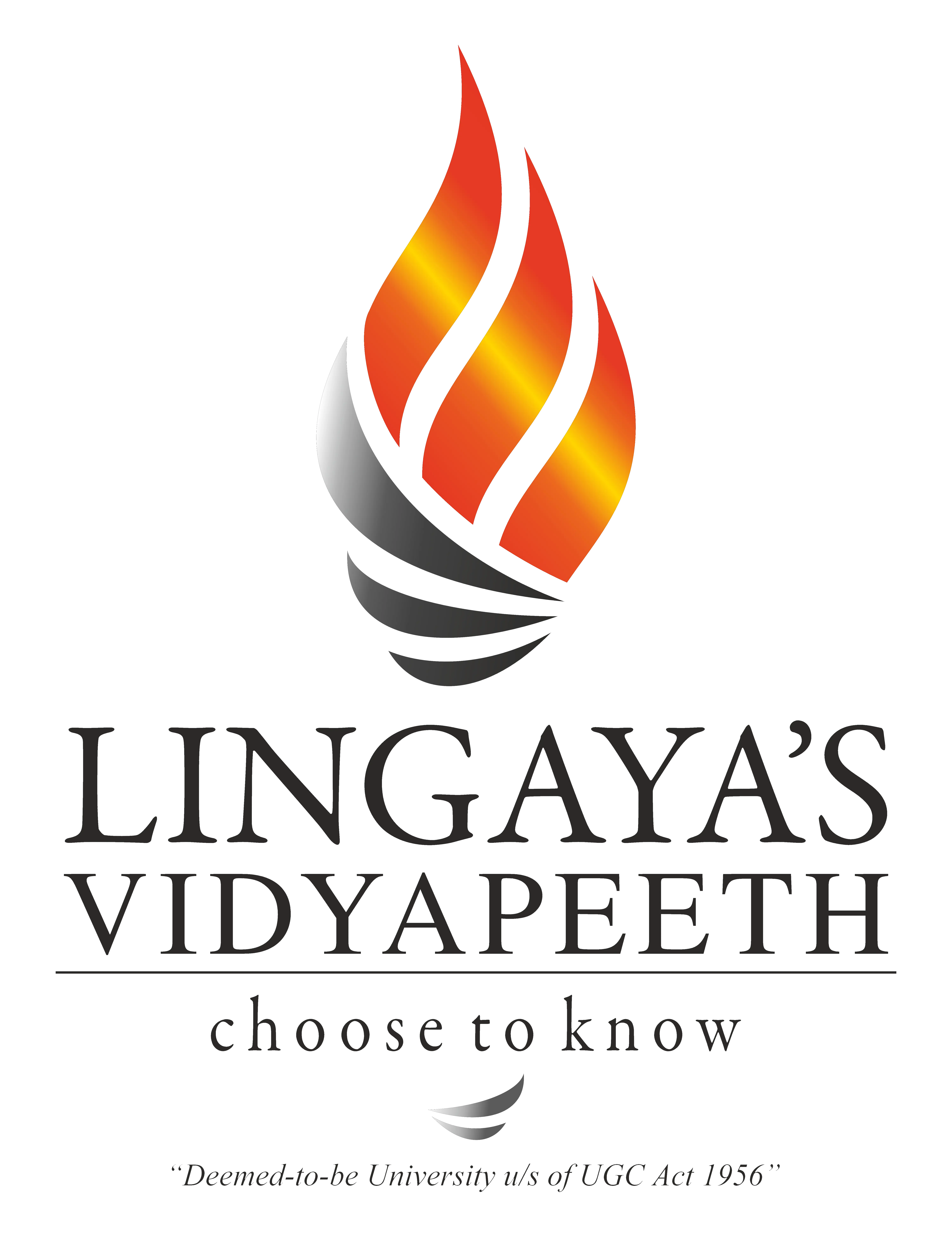 Partner Logo 1